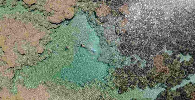 dji_0013 (1) (1) (1).jpg