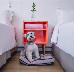 DSC_7154 (OMNIBEES).jpg