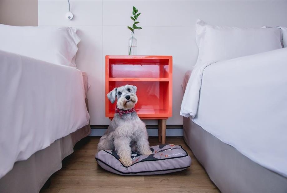 DSC_7154 (OMNIBEES).jpg