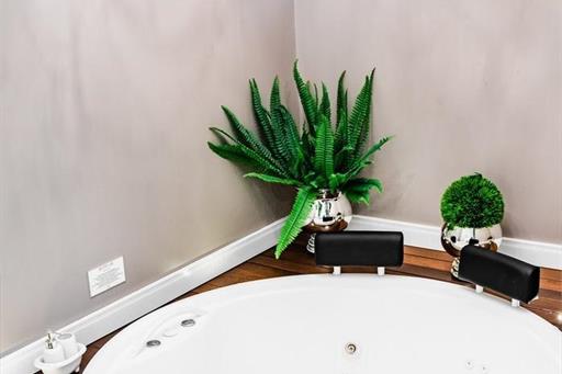 whatsapp image 2023-11-03 at 4.32.53 pm.jpeg