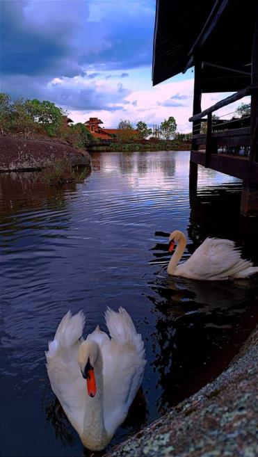 img-20231227-wa0002.jpg
