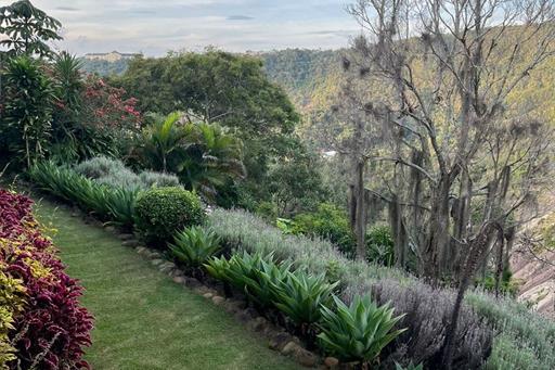 whatsapp image 2024-04-02 at 17.29.13.jpeg