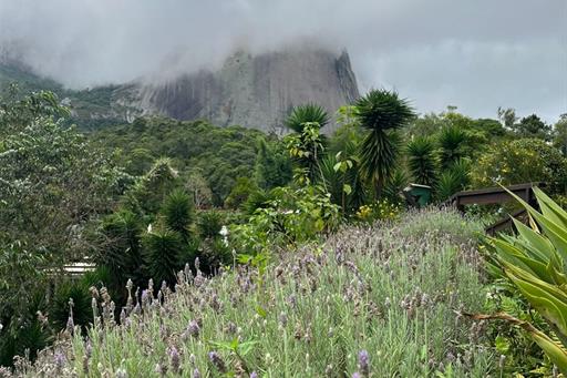 whatsapp image 2024-03-27 at 11.53.32.jpeg