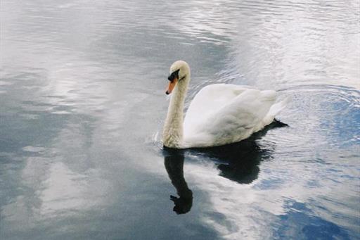 whatsapp image 2023-12-14 at 15.42.05.jpeg