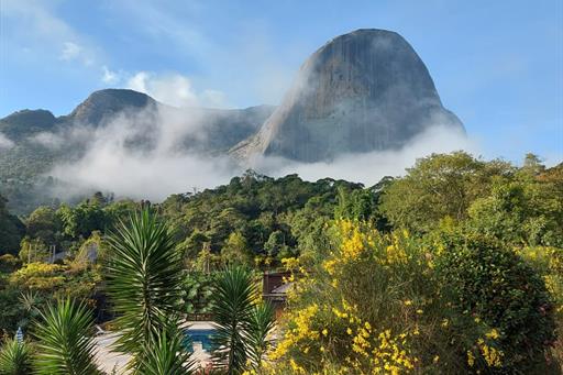 whatsapp image 2021-04-30 at 09.47.07.jpeg