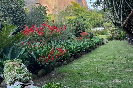 whatsapp image 2024-04-02 at 17.29.11.jpeg