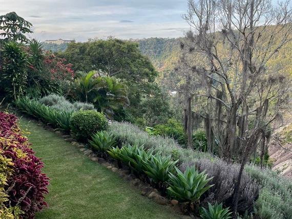 whatsapp image 2024-04-02 at 17.29.13.jpeg