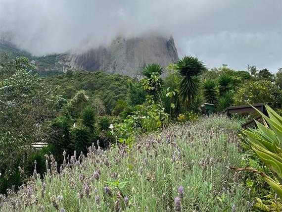 whatsapp image 2024-03-27 at 11.53.32.jpeg