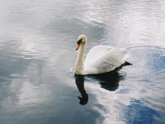 whatsapp image 2023-12-14 at 15.42.05.jpeg