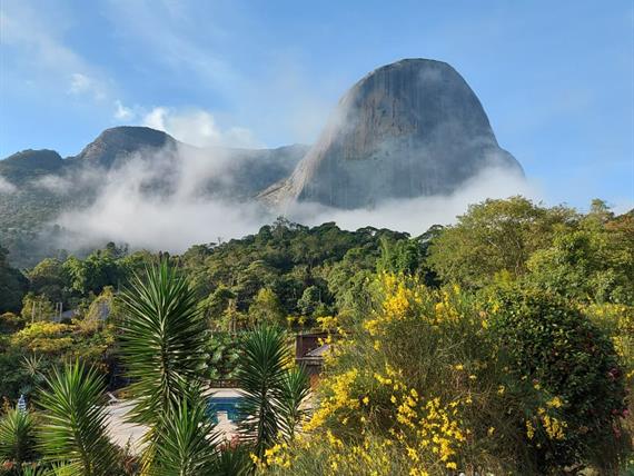 whatsapp image 2021-04-30 at 09.47.07.jpeg