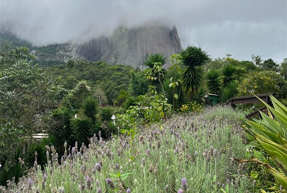 whatsapp image 2024-03-27 at 11.53.32.jpeg