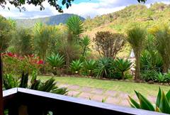 Conforto - Sacada com vista da Natureza