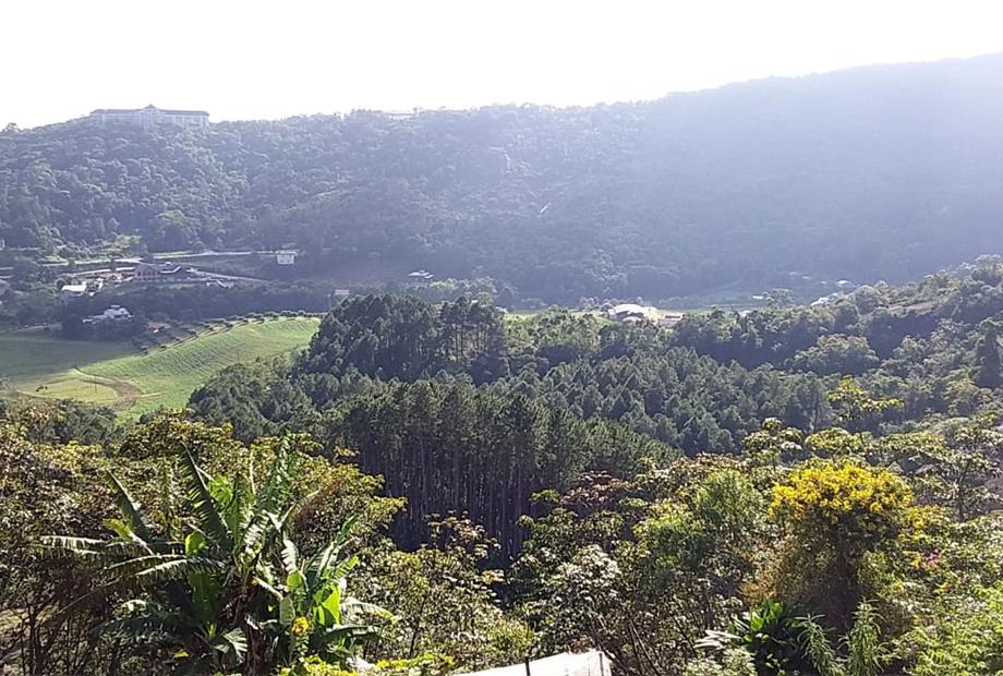 WhatsApp Image 2021-05-03 at 13.27.06 (1).jpeg