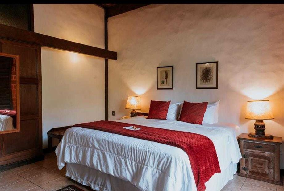 whatsapp image 2022-10-27 at 16.17.05.jpeg