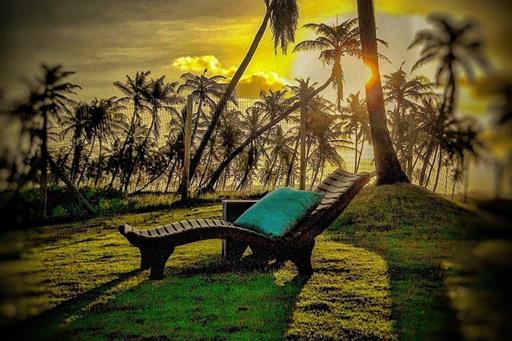 Max Beach Loung...jpeg