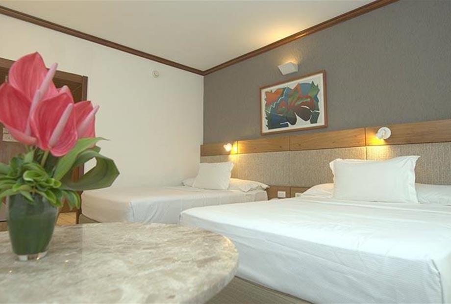 standard familia (2) (1).jpg