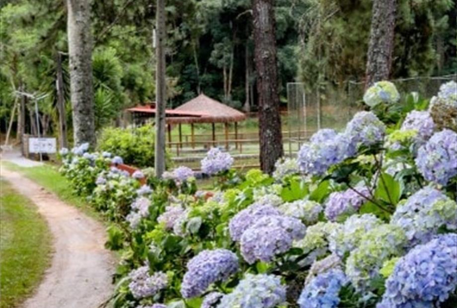 espaço lago (16).jpeg