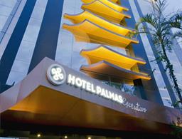 Hotel Palmas Executivo