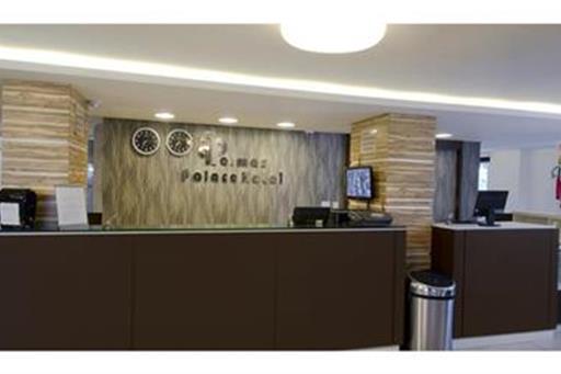 Hotel Palmas Executivo