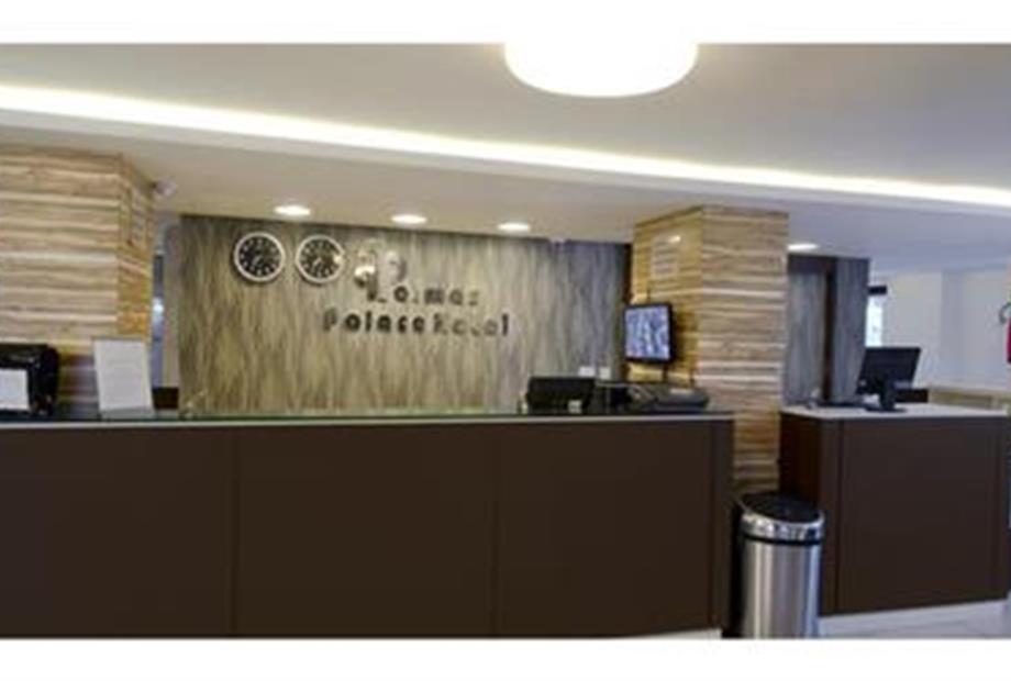 Hotel Palmas Executivo