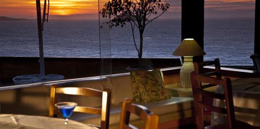 Colonna Galápagos Garden