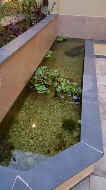 aquario.jpg
