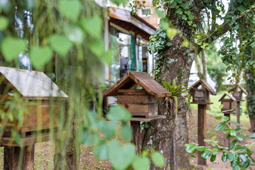 whatsapp image 2021-02-24 at 10.46.38 (2).jpeg