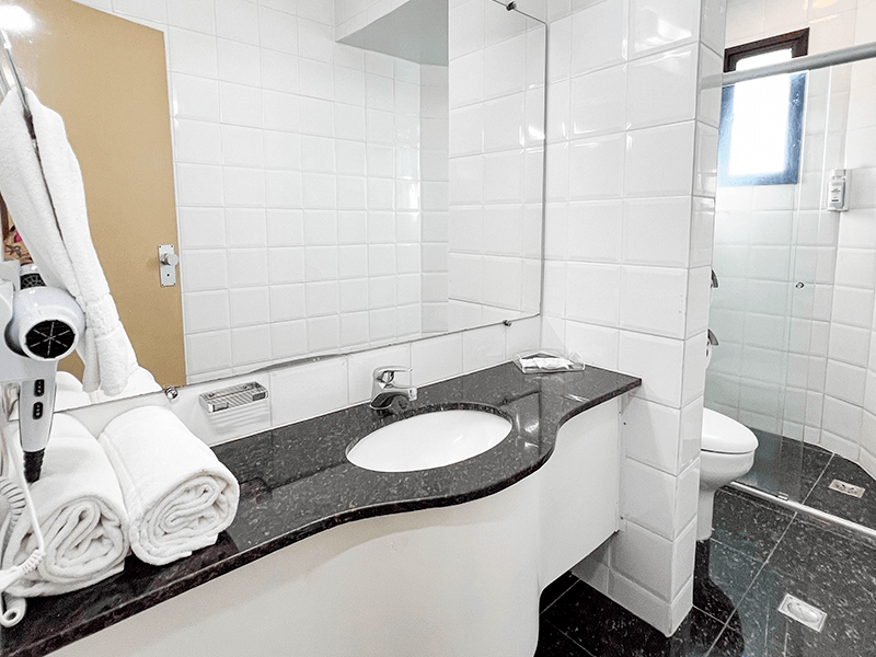 Imagen ilustrativa del hotel Royal Center Hotel Lourdes | | MG