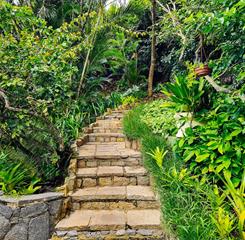 whatsapp image 2025-01-21 at 2.20.53 pm (1).jpeg