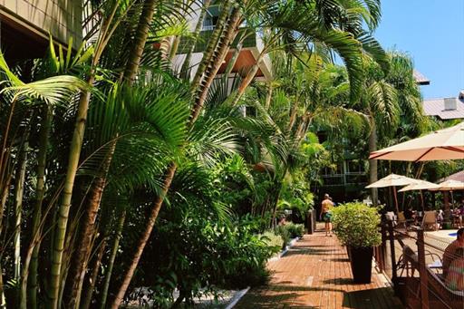 areas belluno 28.jpeg