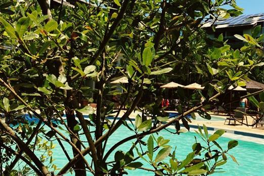 areas belluno 4.jpeg