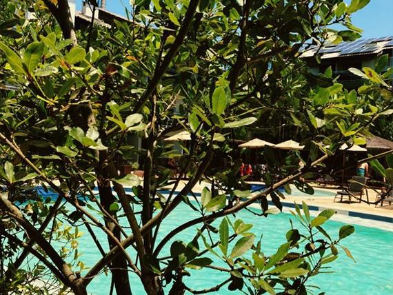 areas belluno 4.jpeg