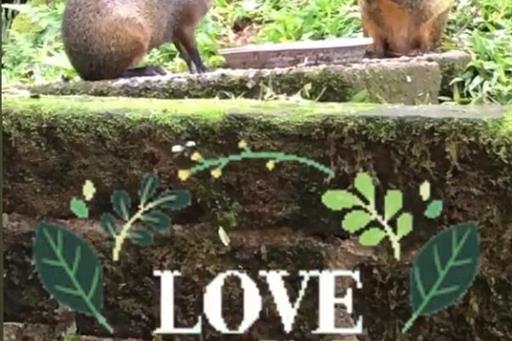 WhatsApp Image 2020-06-13 at 14.13.17.jpeg