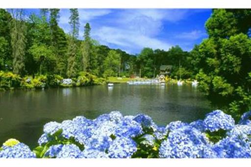 Lago Negro Gramado.jpg