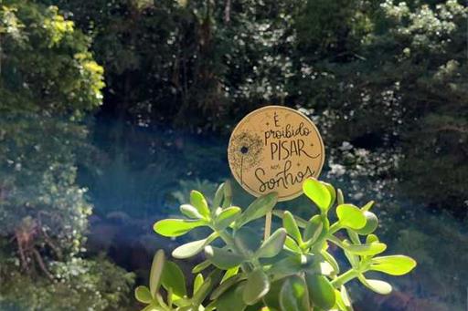 whatsapp image 2022-03-10 at 21.10.51.jpeg