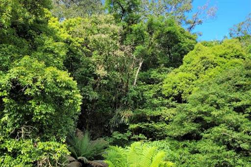 whatsapp image 2022-03-10 at 22.18.24.jpeg