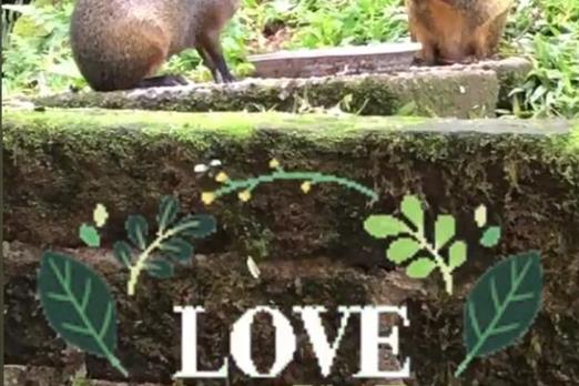 WhatsApp Image 2020-06-13 at 14.13.17.jpeg