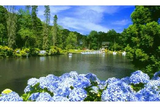 Lago Negro Gramado.jpg