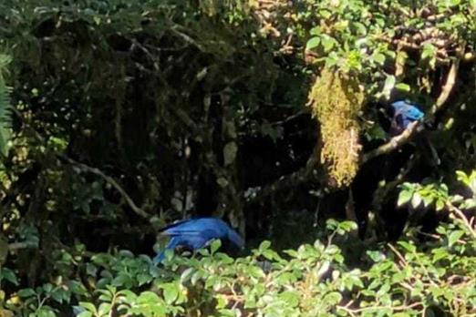 whatsapp image 2022-03-10 at 22.16.54.jpeg