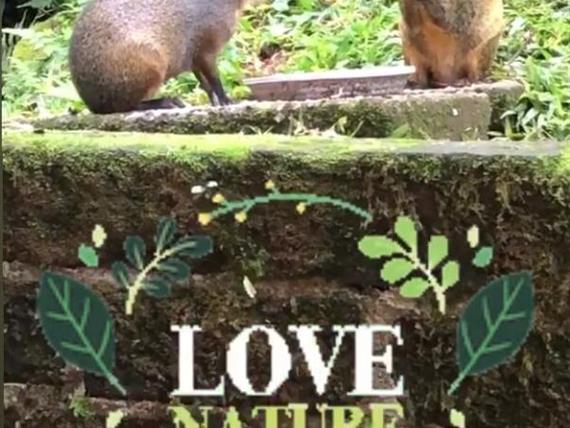 WhatsApp Image 2020-06-13 at 14.13.17.jpeg