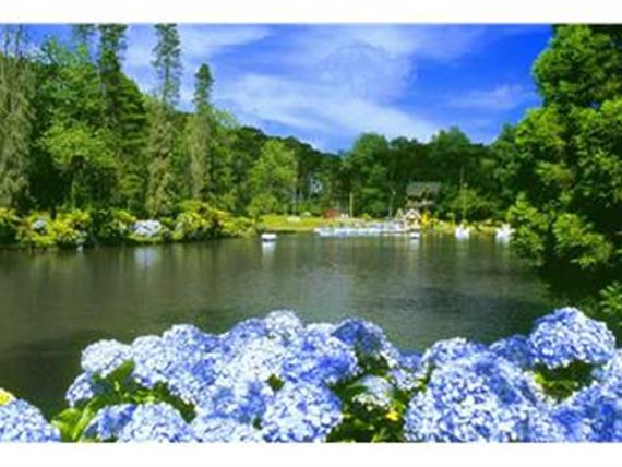 Lago Negro Gramado.jpg