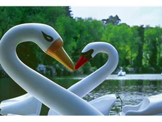 Lago Negro Gramado.jpg