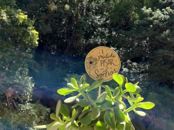 whatsapp image 2022-03-10 at 21.10.51.jpeg