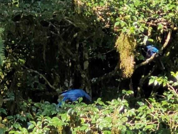 whatsapp image 2022-03-10 at 22.16.54.jpeg