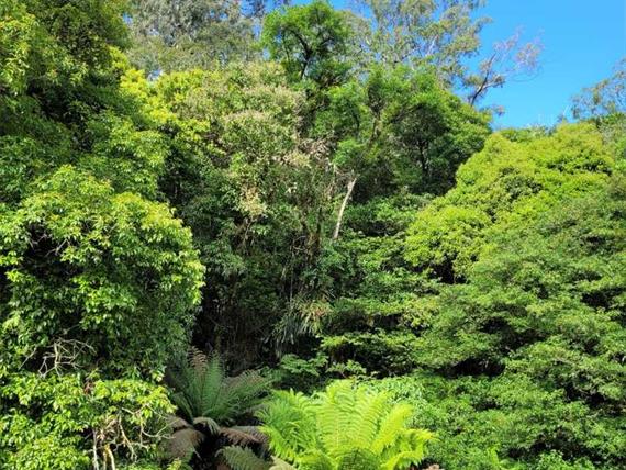 whatsapp image 2022-03-10 at 22.18.24.jpeg