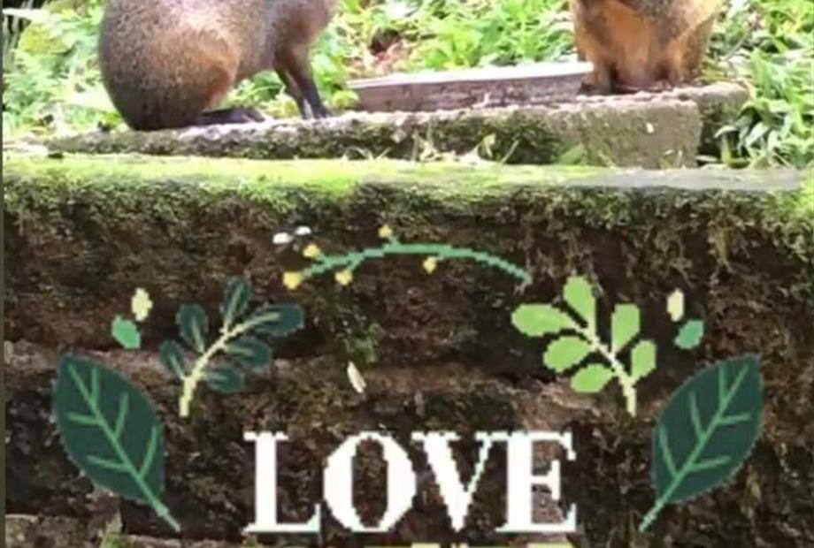 WhatsApp Image 2020-06-13 at 14.13.17.jpeg