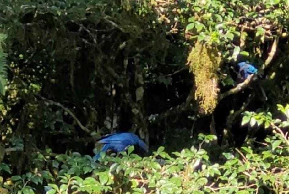 whatsapp image 2022-03-10 at 22.16.54.jpeg