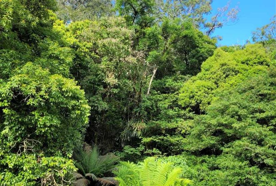 whatsapp image 2022-03-10 at 22.18.24.jpeg