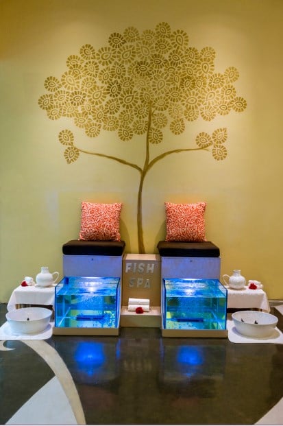Fish Spa 001.jpg