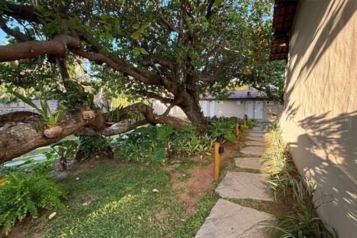 whatsapp image 2025-01-21 at 16.39.27.jpeg